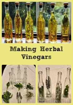 several bottles filled with different types of herbs