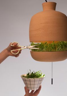 a person is holding a bowl with plants in it and scissors hanging from the ceiling