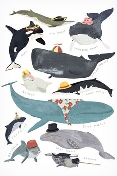 an illustration of whales and other animals with words on them that say they are all different