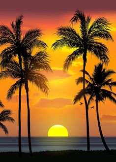 a sunset with palm trees and the ocean in the foreground is an orange sky