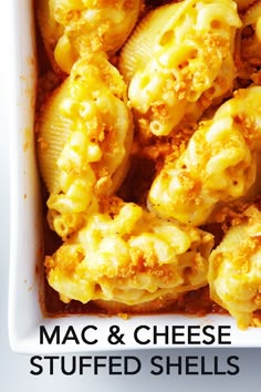 macaroni and cheese stuffed shells in a white dish