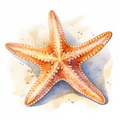 a watercolor painting of a starfish