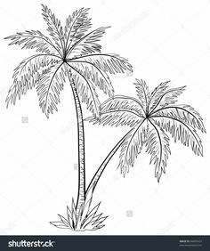 a black and white drawing of a palm tree