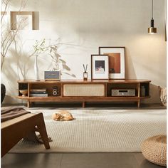 a dog is laying on the floor in front of a large entertainment center with two framed pictures