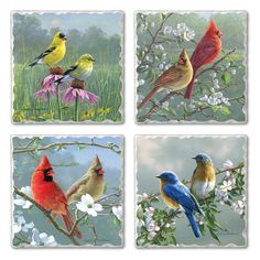 four birds sitting on top of flowers in the middle of four square pictures, each with different colors