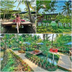 three pictures of people sitting on benches in front of trees and plants, with the words tropical