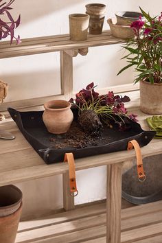 there is a tray with plants on it and some dirt in the middle, sitting on a table