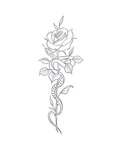 Simple Spine Tattoos, Rose Spine Tattoo, Snake Spine Tattoo, Floral Spine Tattoo, Practice Tattoos, Ant Tattoo, Stick Poke, Stick Poke Tattoo, Back Tats