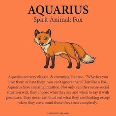 an orange background with the words aquarius spirit animal fox