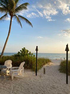 two white lawn chairs sitting on top of a sandy beach next to palm trees and the ocean