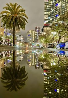 palm trees are reflected in the water on a city street at night with tall buildings