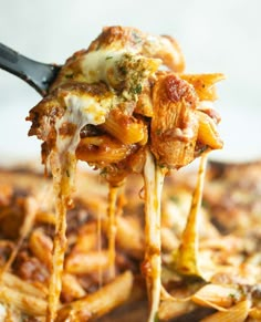 a fork full of pasta being lifted from a casserole dish with meat and cheese