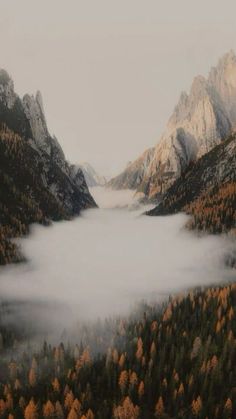 the mountains are covered in fog and low lying clouds as they rise into the sky