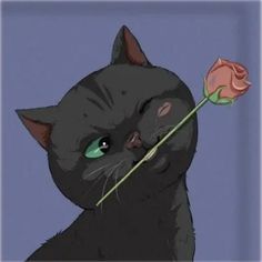 a black cat holding a rose in its mouth