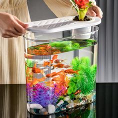 a woman is holding a fish tank with plants in it