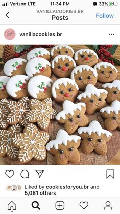 an image of some cookies with icing on them and snowflakes in the background