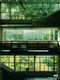 an escalator in a large building with lots of windows and trees outside it