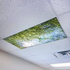 the ceiling in an office is decorated with green trees and blue sky above it,