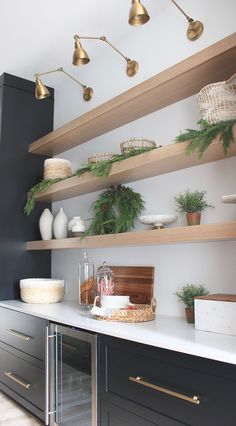 a kitchen with open shelving and plants on the counter top, including pine cones