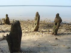 several pieces of wood sitting on top of a sandy beach