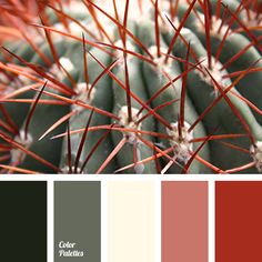 an image of a cactus with red and green colors in the background, it's color scheme