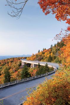 the road is surrounded by colorful trees and foliage