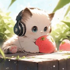 a white cat with headphones is holding an apple