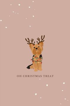 Cute Dog Halloween Wallpaper, Goldendoodle Wallpaper Iphone, Dog Christmas Aesthetic, Dog Procreate Art, Puppies First Christmas, Christmas Dogs Aesthetic, Christmas Dogs Wallpapers, Christmas Dog Background, Christmas Wallpaper Cute Aesthetic