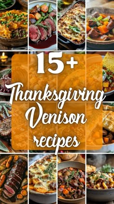 a collage of thanksgiving venison dishes with text overlay that reads, 15 + thanksgiving venison recipes