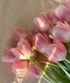 a bouquet of pink tulips sitting on top of a bed