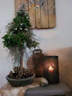 a potted plant sitting on top of a table next to a candle and some pine cones