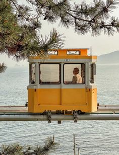 a yellow train car sitting on top of a rail near the ocean and pine trees