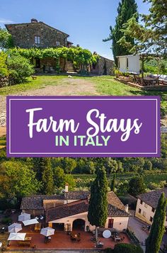 farm stay in italy with text overlay