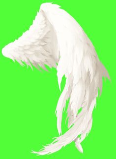 an animal with white feathers on it's back and wings spread out to the side