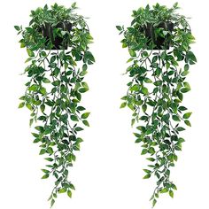 two hanging planters with green leaves on them