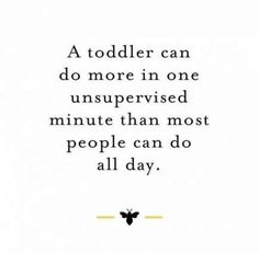 a quote about toddler can do more in one unsupervised minute than most people can do all day