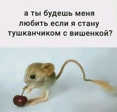 a mouse with an apple in it's mouth and the caption is russian