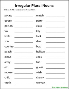 singular words worksheet for the irregular