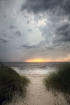 a path leading to the beach with grass on both sides and an ocean in the background