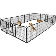 three dogs are sitting in a large metal dog pen that is black and has four separate doors