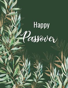 the words happy passover written in white on a green background with leaves and branches