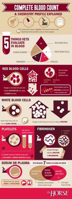 an info poster with different types of food