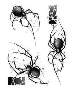 some black and white images of spiders on a white background, one is drawn with ink