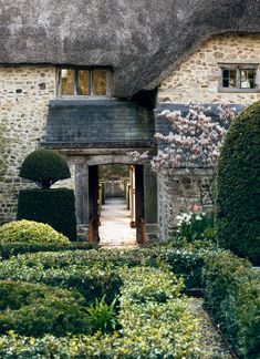 an old stone house with a thatched roof and garden in the foreground, surrounded by hedges