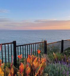 the ocean is in the distance and some plants are by the fence