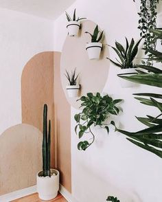 several potted plants are hanging on the wall next to a round mirror and wooden shelf