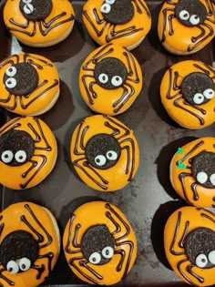 cupcakes decorated to look like spider faces