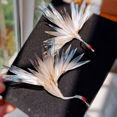 two small white flowers sitting on top of a black cloth next to a hand holding a pair of scissors