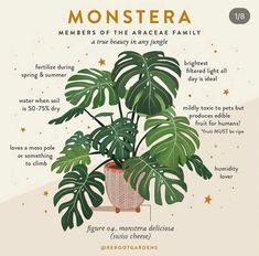 a poster with an image of a monster plant on it's side and the words monsters