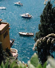 several small boats are in the water near some buildings and trees, while one boat is out on the water